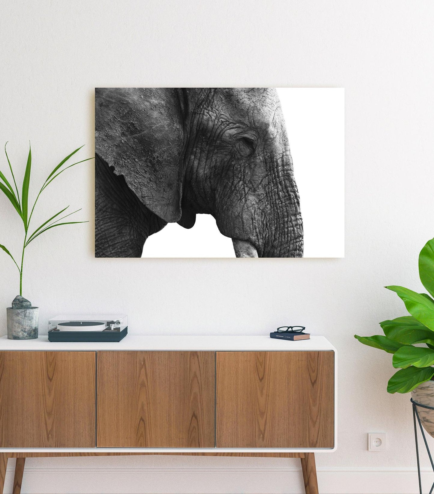 Elephant Canvas - Black & White Elephant Wall Art, Elephant Print, Animal Wall Art, Elephant Wall Decor, Elephant Home Decor, Nursery Decor