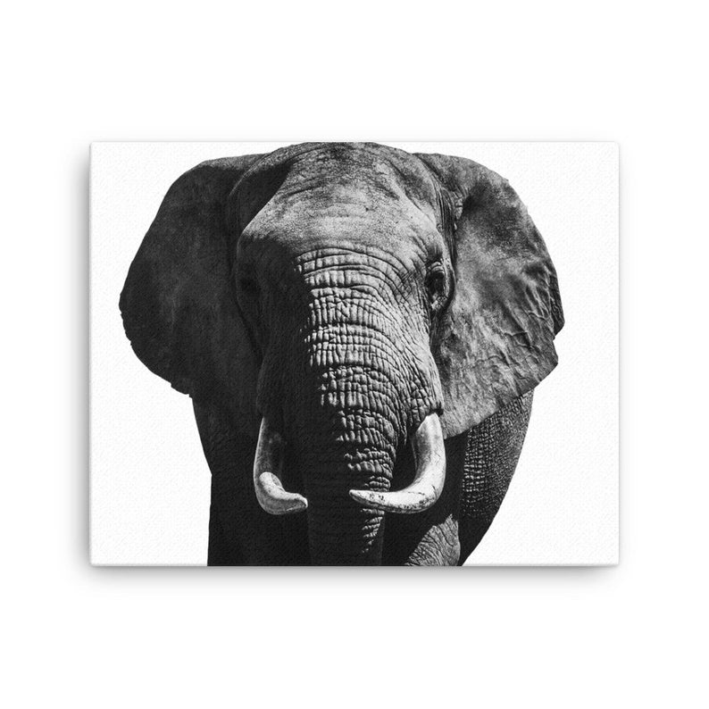 Elephant Wall Art - Elephant Canvas, Black and White Wall Art, Elephant Wall Decor, Elephant Print, Animal Wall Decor, Safari Animal Prints