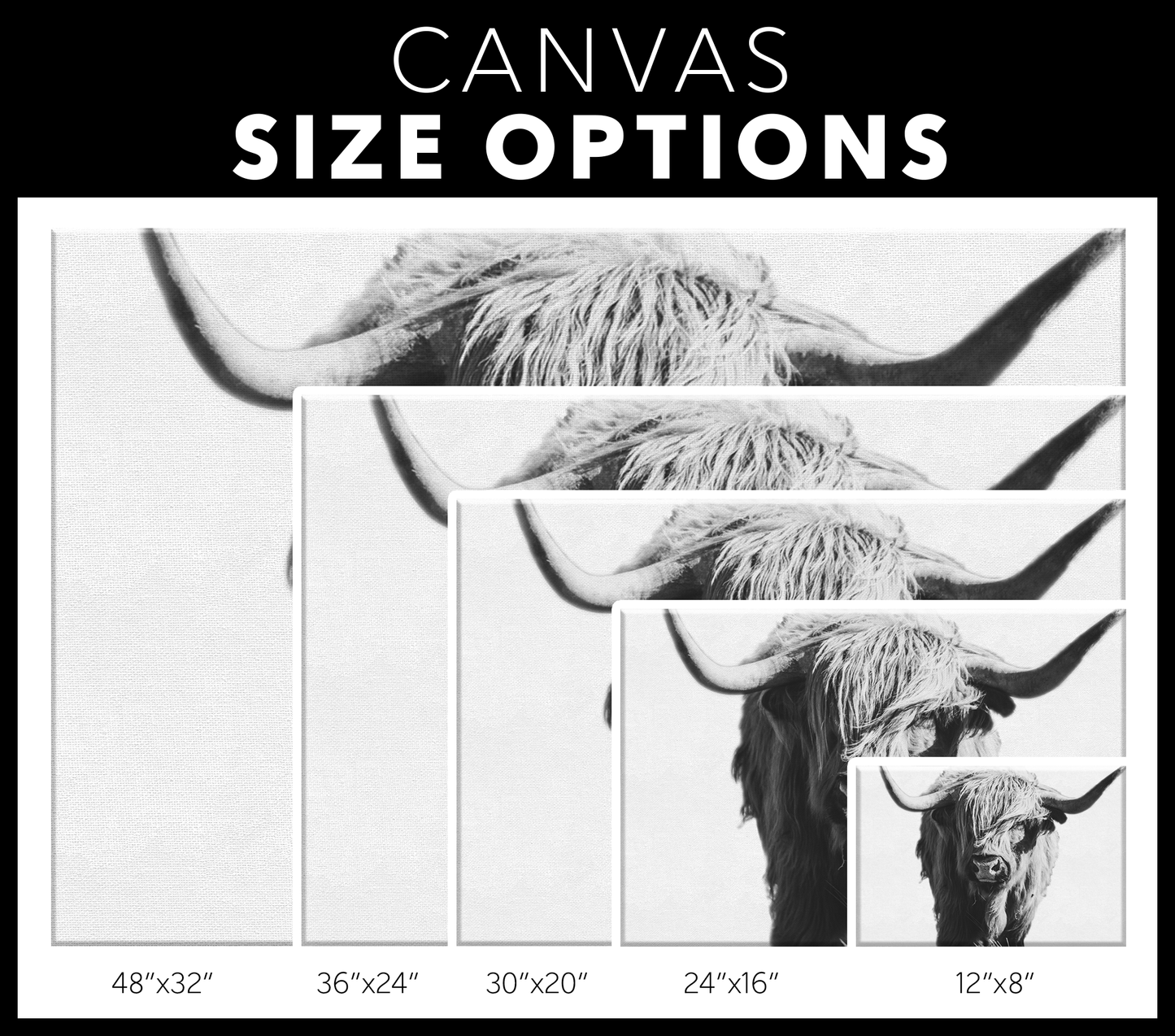 Highland Cow Canvas Wall Art - Black and White, Highland Cow Print, Cow Art, Cow Decor, Cow Gift, Highland Cattle Art, Highland Bull Print