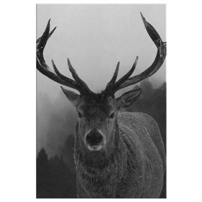 Black and White Stag Canvas Wall Art