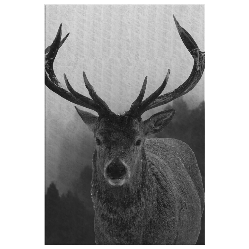 Black And White Stag Canvas – Rustic Wall Art, Deer Wall Decor
