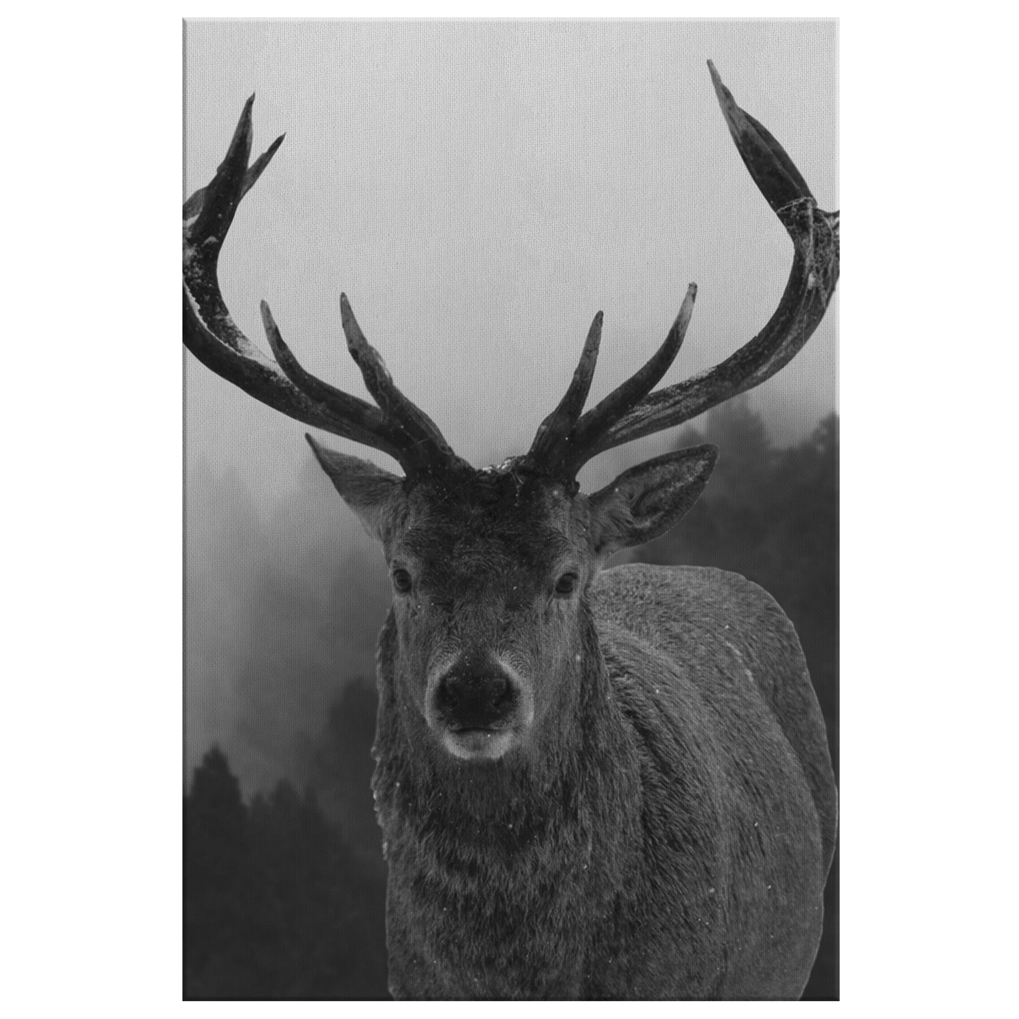 Black And White Stag Canvas – Rustic Wall Art, Deer Wall Decor