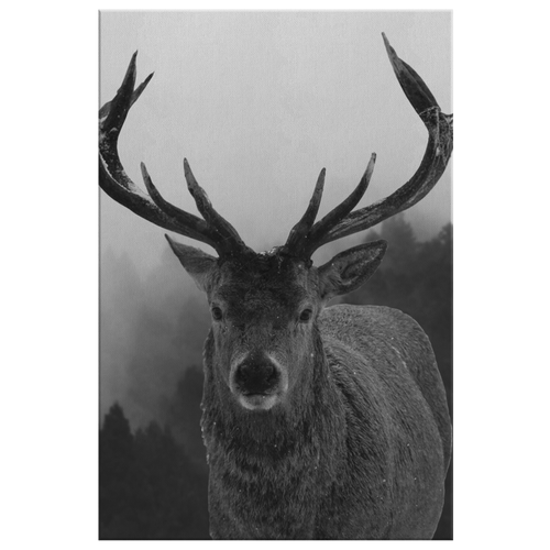 Black And White Stag Canvas – Rustic Wall Art, Deer Wall Decor