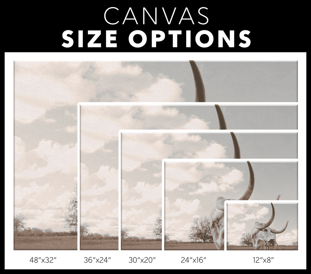 Longhorn Canvas Wall Art – Texas Steer Print, Southwestern Decor