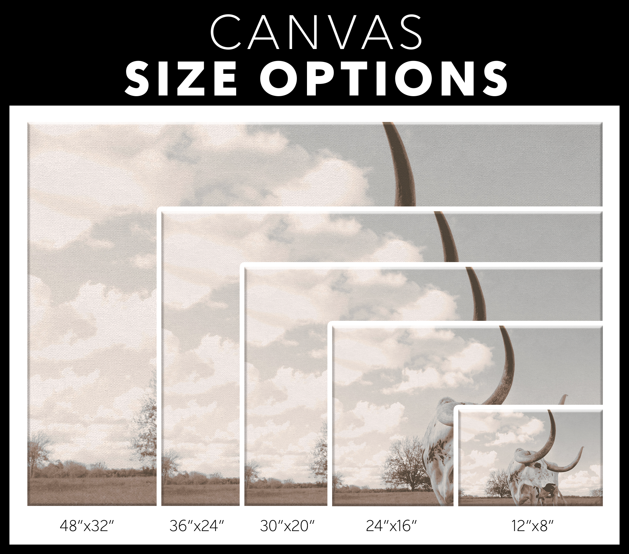 Longhorn Canvas Wall Art – Texas Steer Print, Southwestern Decor