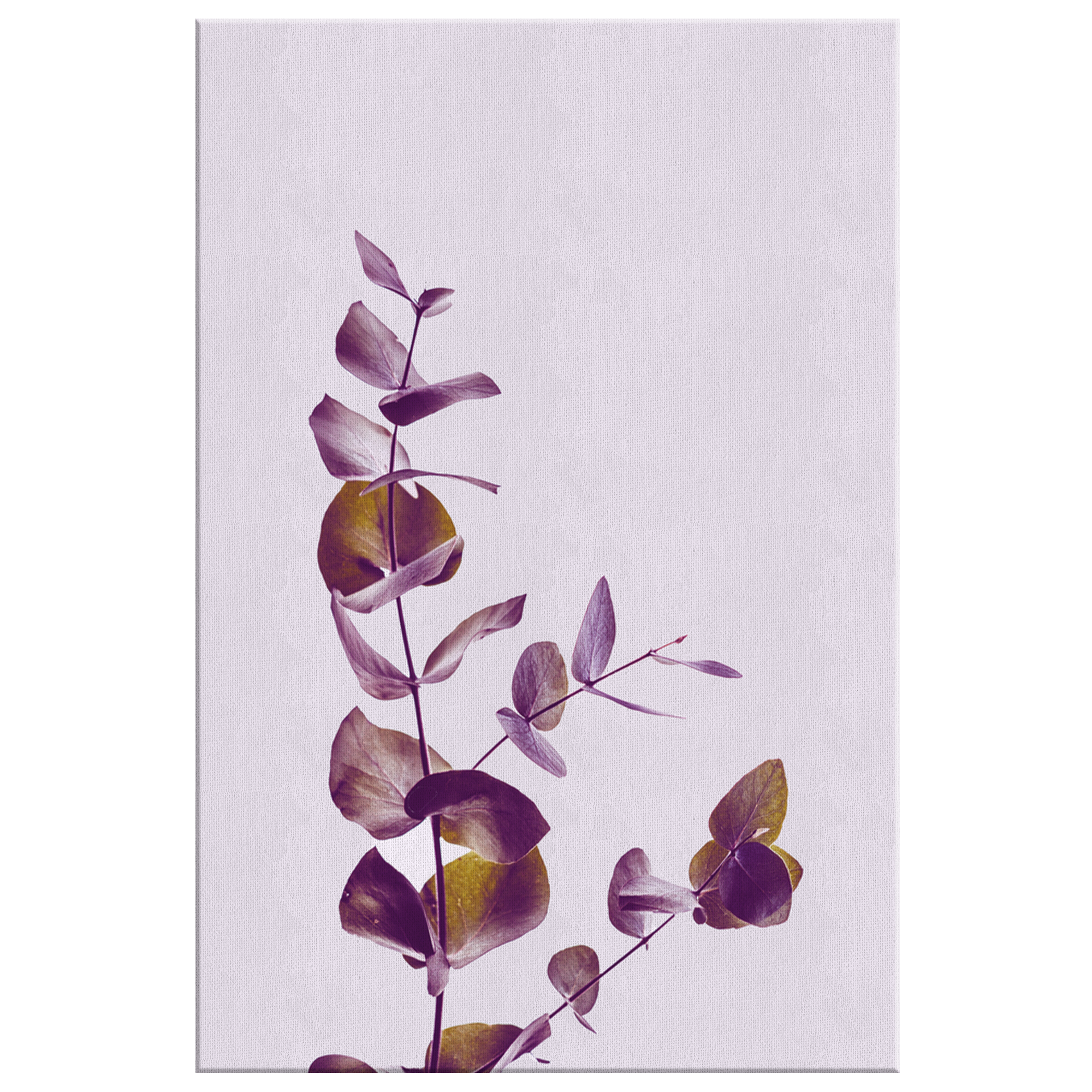 Eucalyptus Canvas Wall Art – Botanical Print, Modern Leaf Decor