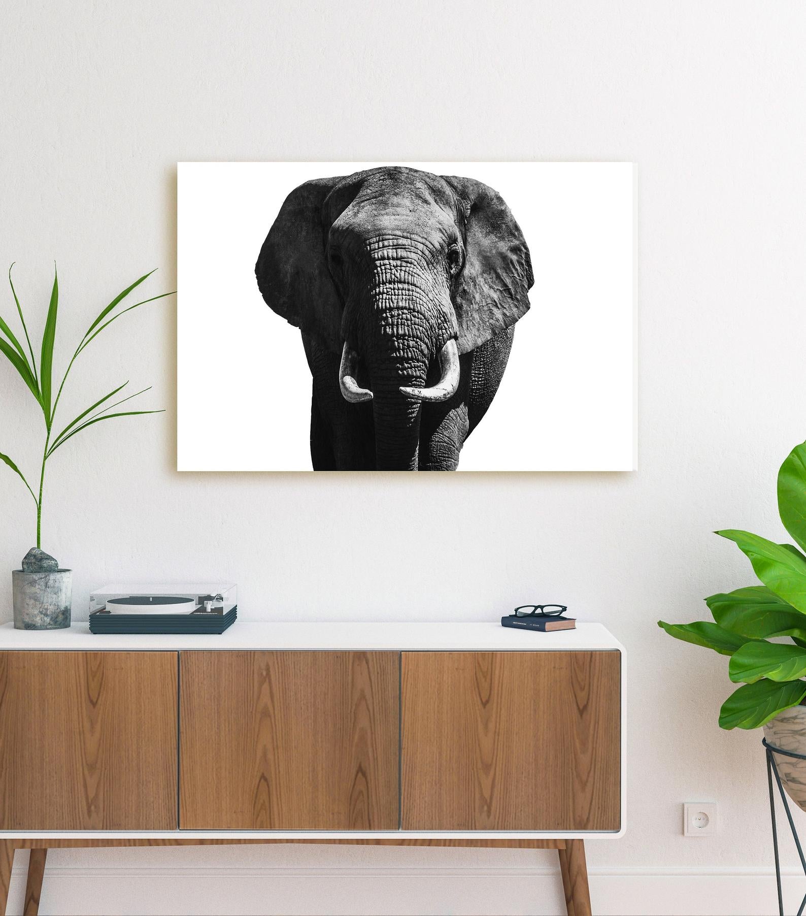 Elephant Wall Art – Black And White Elephant Canvas, Safari Decor