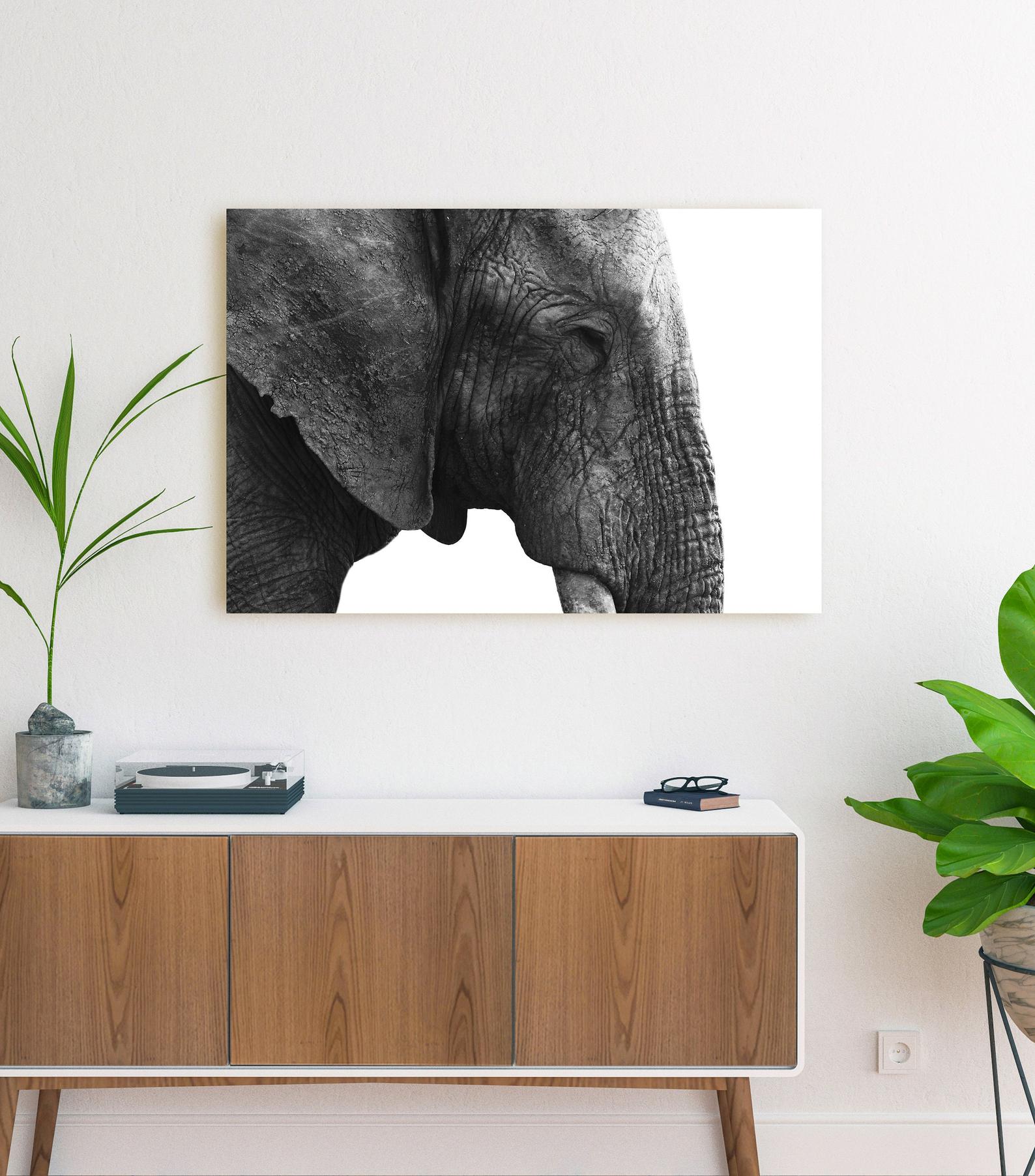 Elephant Canvas – Black And White Nursery Wall Art