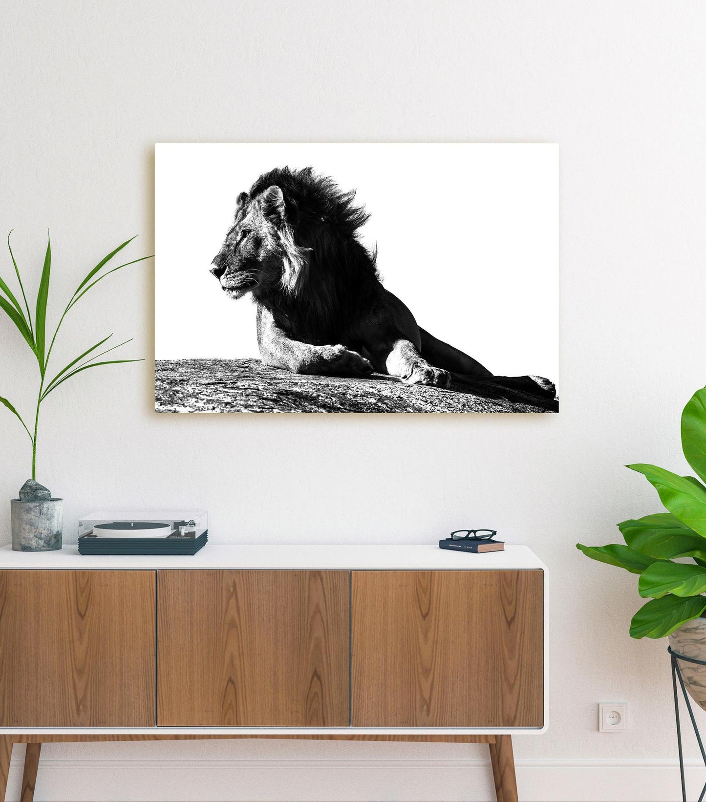 Lion Canvas - Black & White Lion Print, Lion Wall Art, African Lion Art, Large Lion Canvas, Lion Room Decoration, Lion Gift, Lion Decor