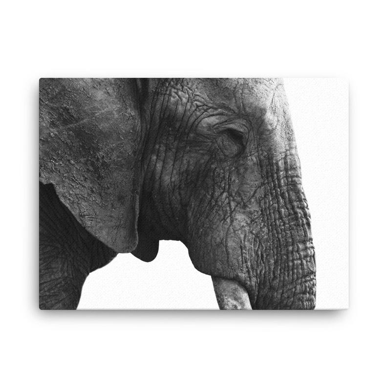 Elephant Canvas - Black & White Elephant Wall Art, Elephant Print, Animal Wall Art, Elephant Wall Decor, Elephant Home Decor, Nursery Decor