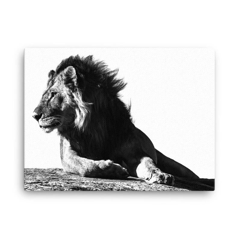 Lion Canvas - Black & White Lion Print, Lion Wall Art, African Lion Art, Large Lion Canvas, Lion Room Decoration, Lion Gift, Lion Decor