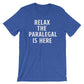 Relax The Paralegal Is Here Unisex Shirt - Paralegal Gift, Paralegal Shirt, Attorney Shirt, Lawyer Shirt, Law School Gift, Paraprofessional