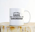 Best Dads Get Promoted To Grandad Mug – Pregnancy Reveal Gift - Stag & Peach Co