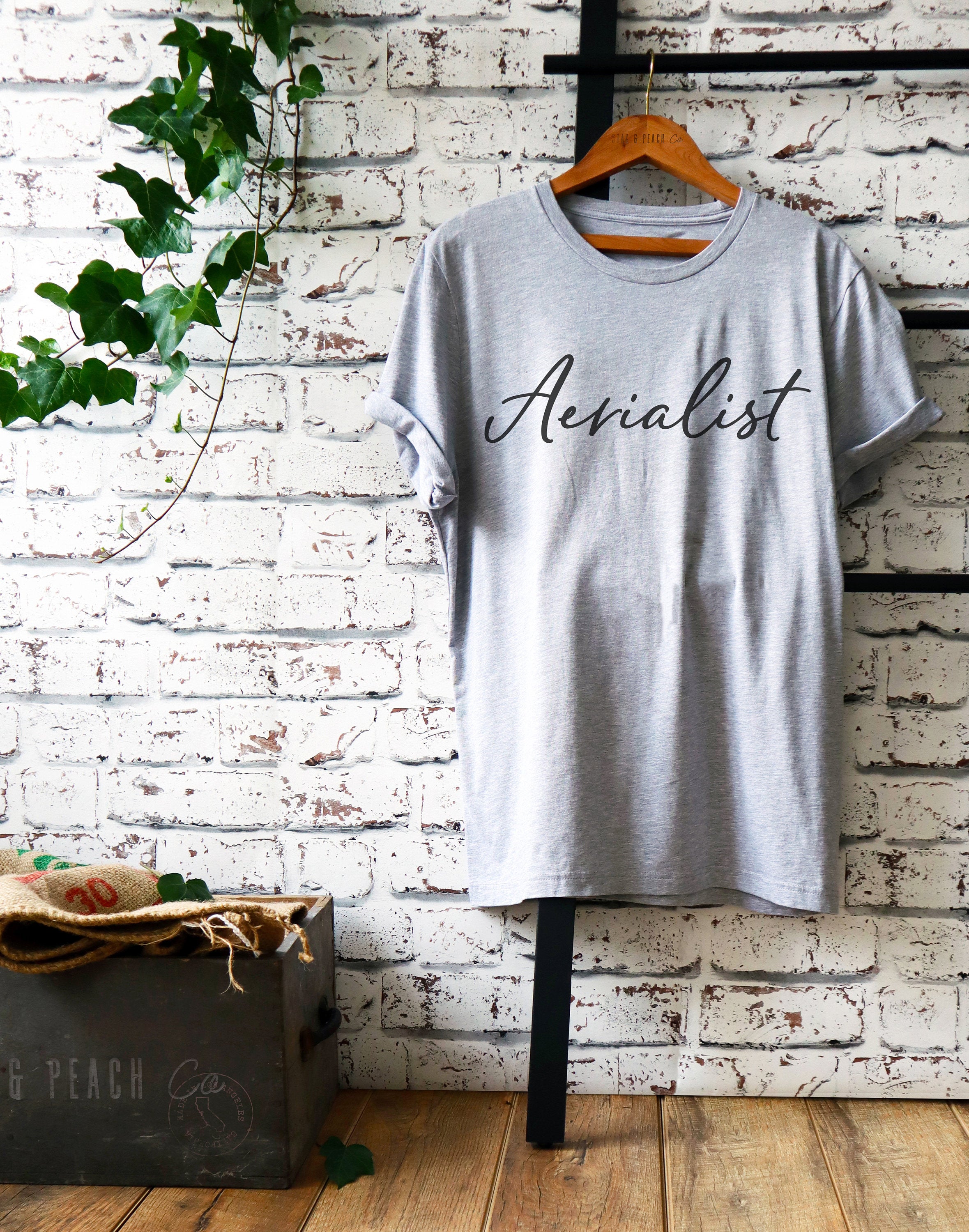 Aerialist Unisex Shirt