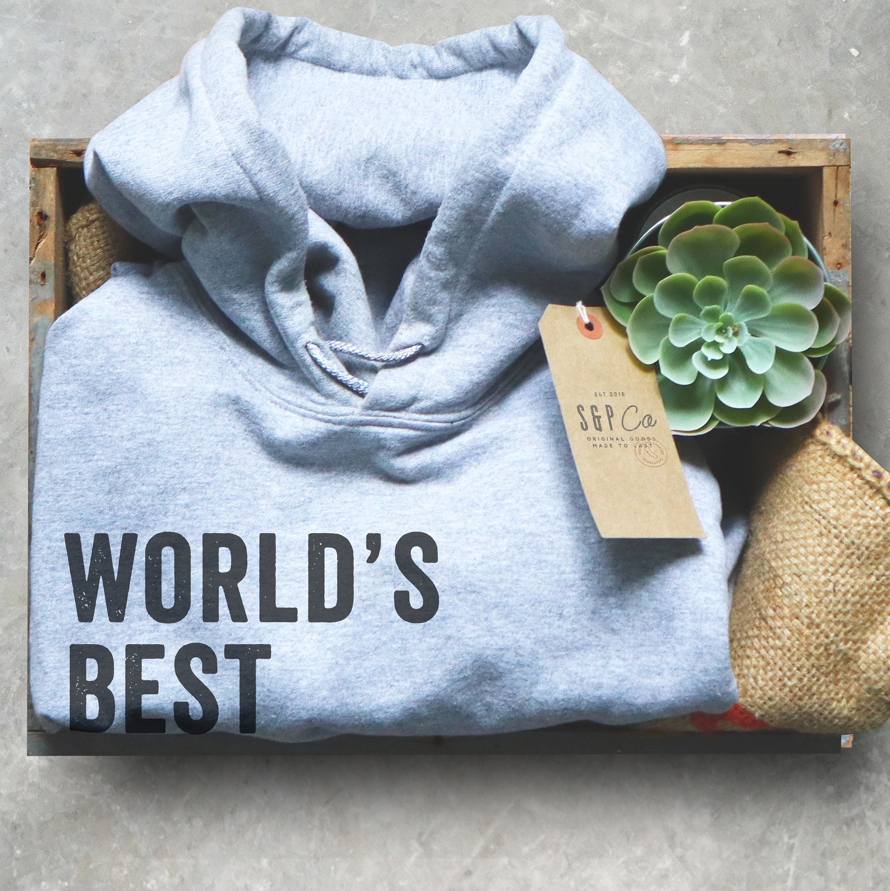 World's Best Chiropractor Hoodie - Chiropractor Shirt, Chiropractor Gift, Chiropractor Student, Chiropractic Gift, Gift For Coworker - Stag & Peach Co