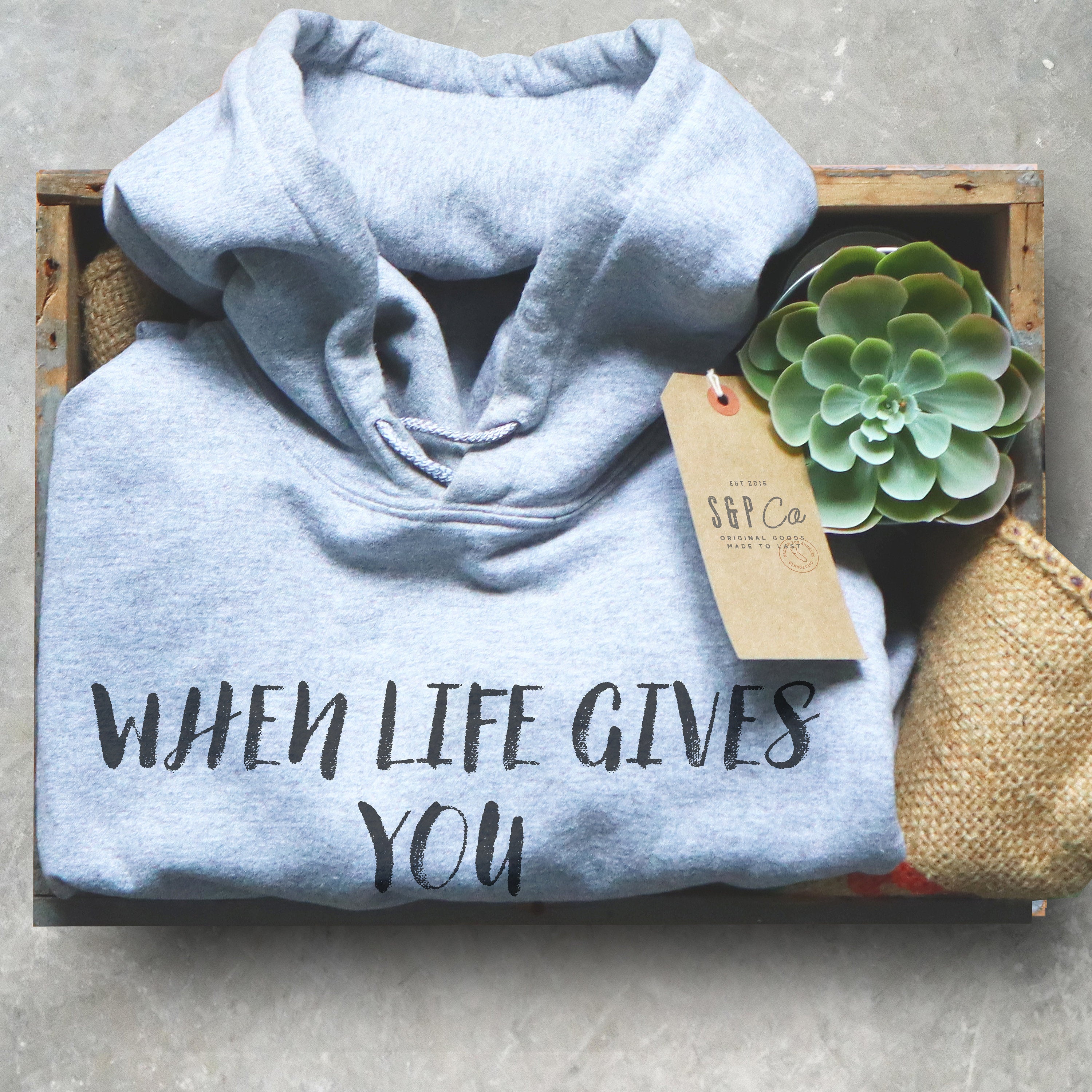 When Life Gives You Mold Make Penicillin Hoodie - Microbiologist Shirt, Microbiology Gift, Medical School Gift, Chemist Shirt, Biology Shirt