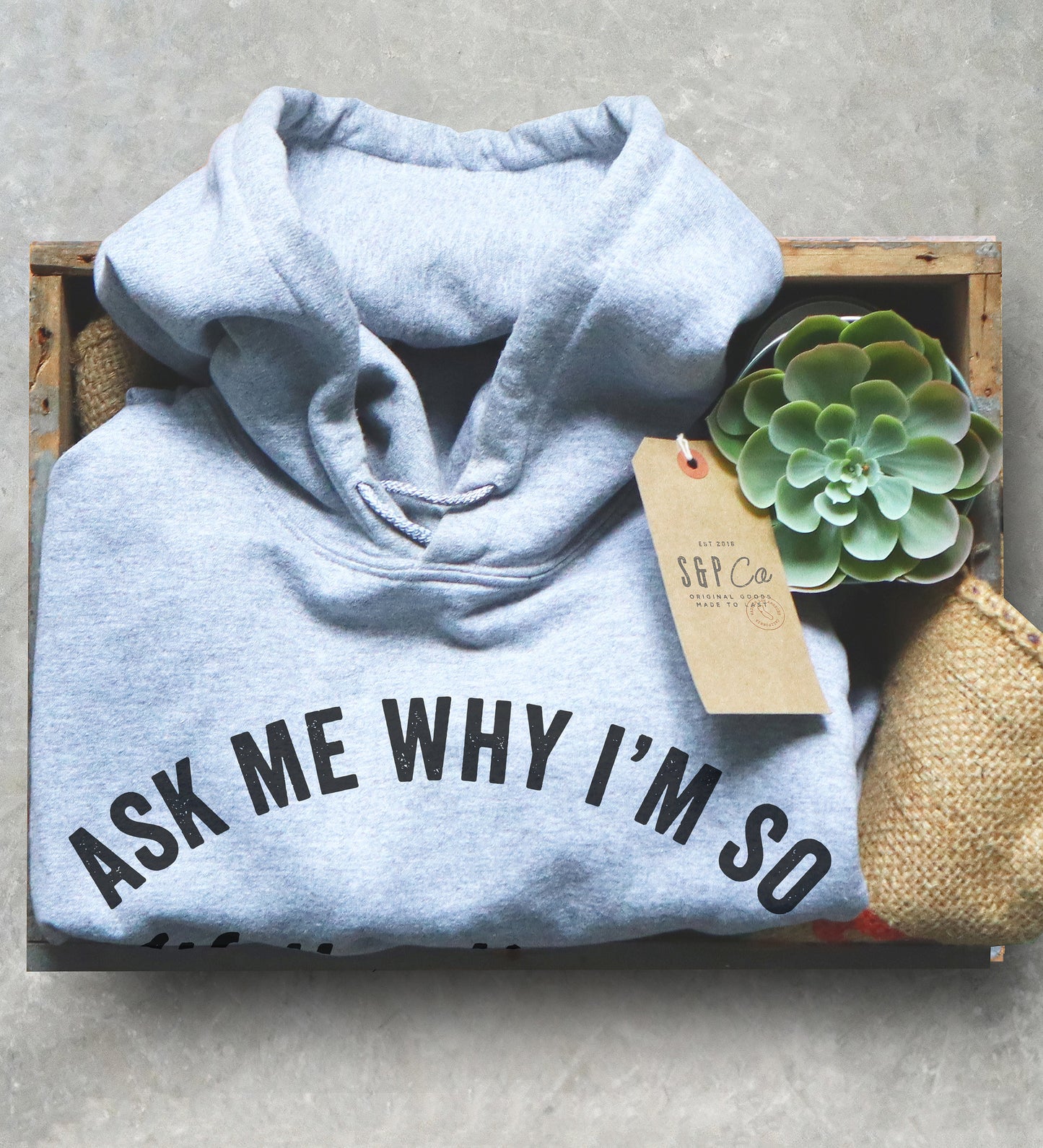 Ask Me Why I'm So Well Adjusted Hoodie