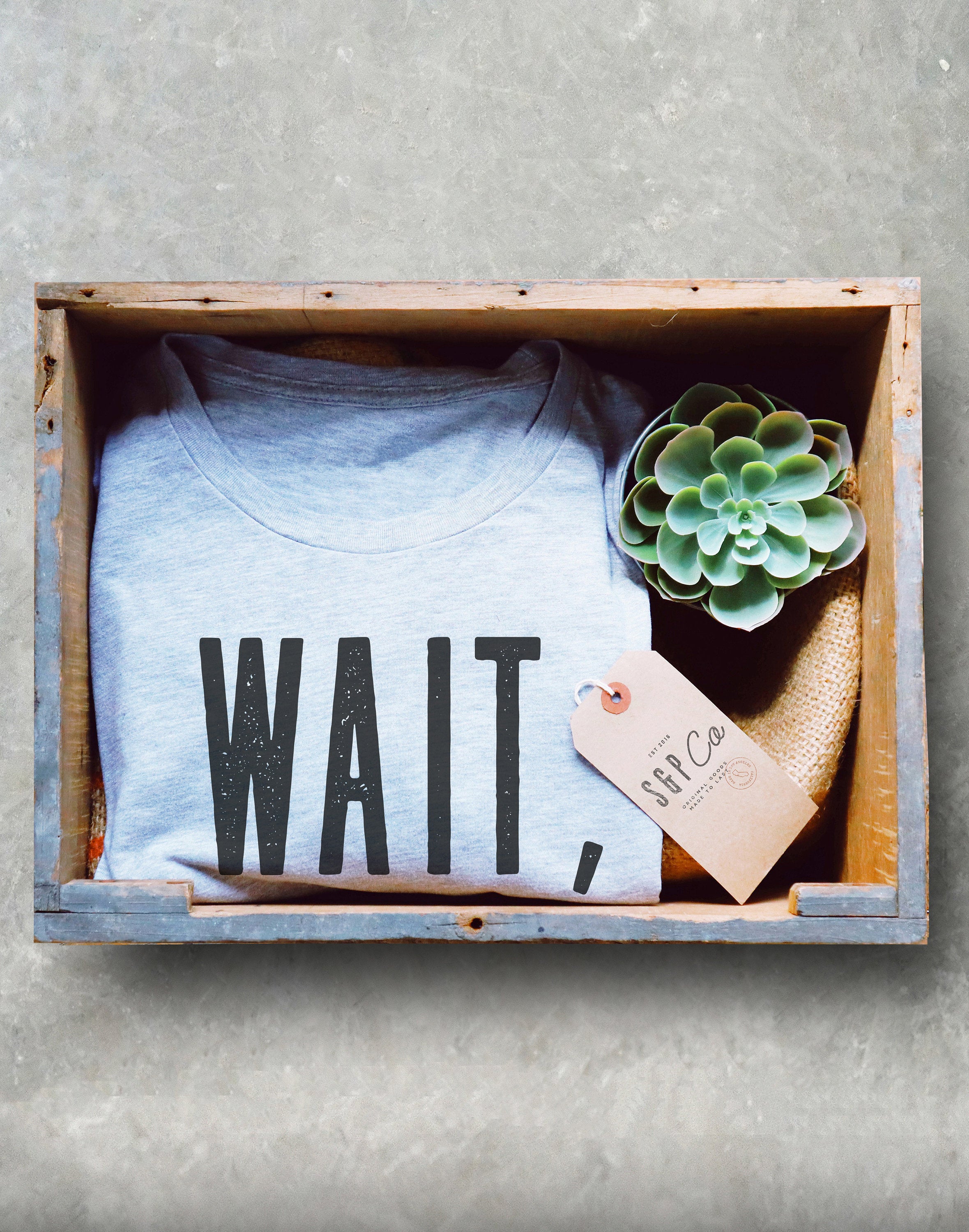 Wait, I See A Rock Unisex Shirt- Geology Shirt, Geologist, Geologist Gift, Geology Professor, Geology Student, Geology Puns, Geologist Shirt