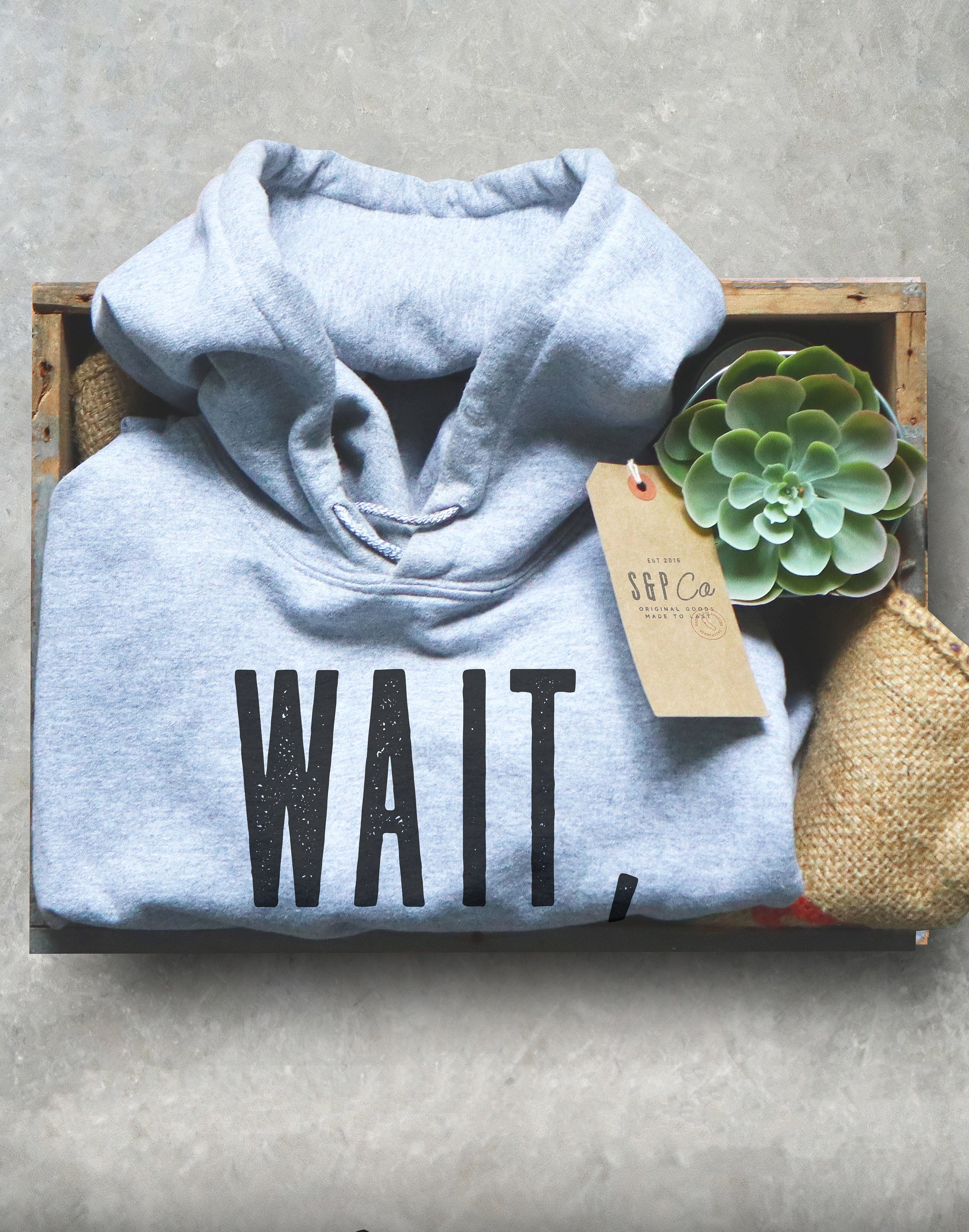 Wait, I See A Rock Hoodie - Geology Shirt, Geologist, Geologist Gift, Geology Professor, Geology Student, Geology Puns, Geologist Shirt