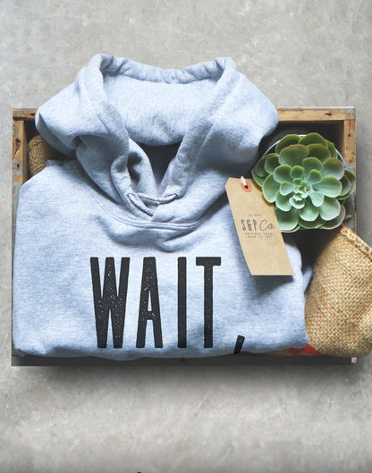 Wait, I See A Rock Hoodie - Geology Shirt, Geologist, Geologist Gift, Geology Professor, Geology Student, Geology Puns, Geologist Shirt