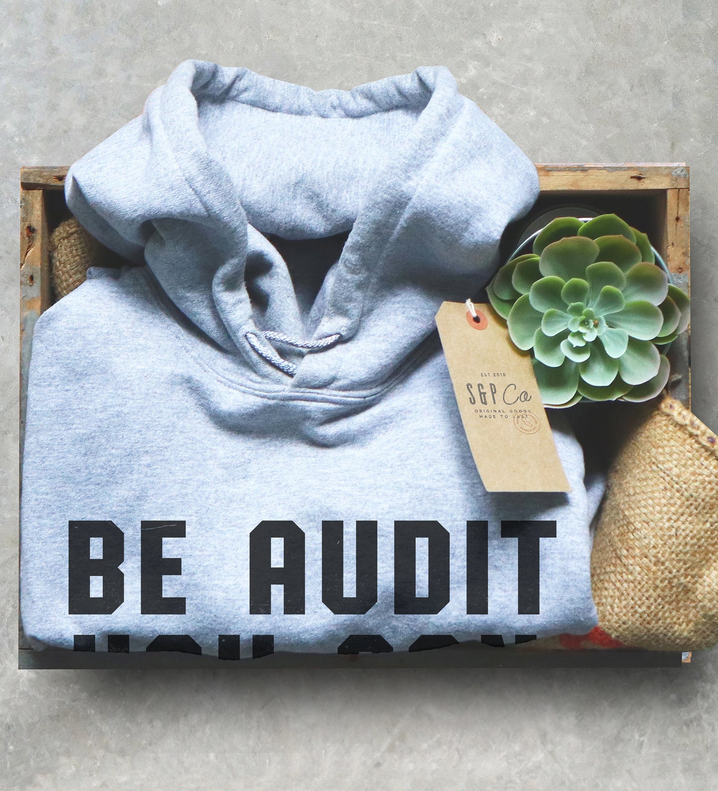 Be Audit You Can Be Hoodie