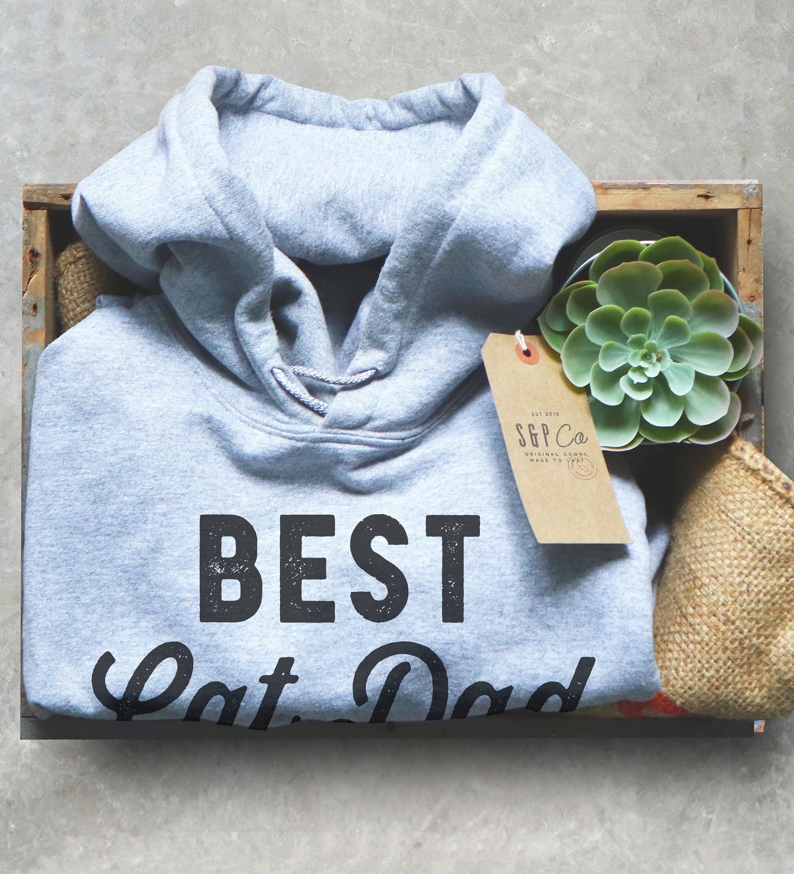 Best Cat Dad Ever Hoodie - Cat