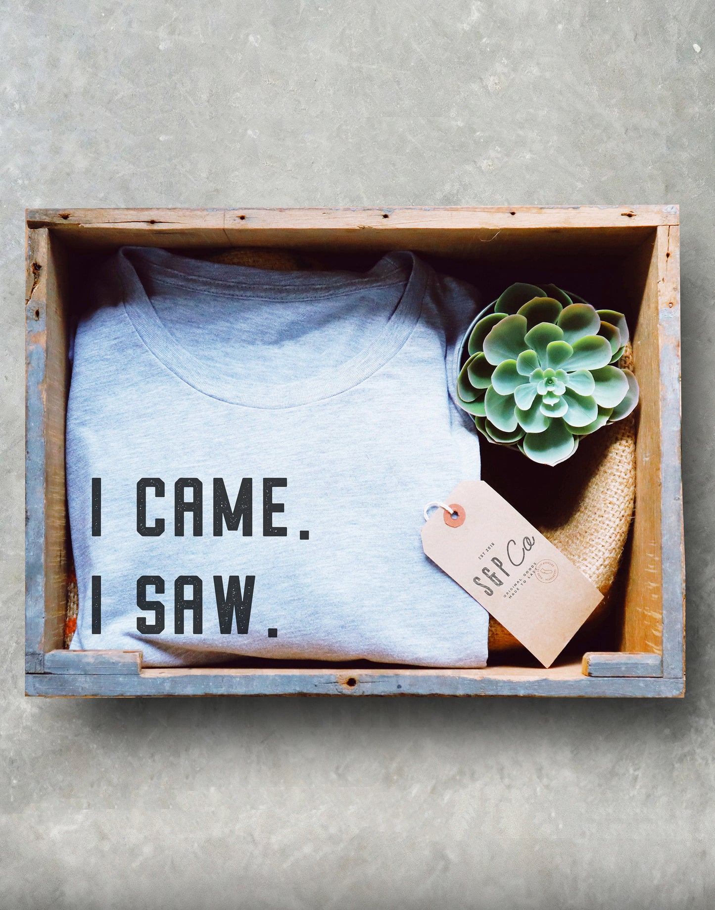 I Came I Saw I Left Early Unisex Shirt - Introvert Shirt, Introvert Gift, Introverts Unite, Antisocial Shirt, Socially Awkward, Introverting