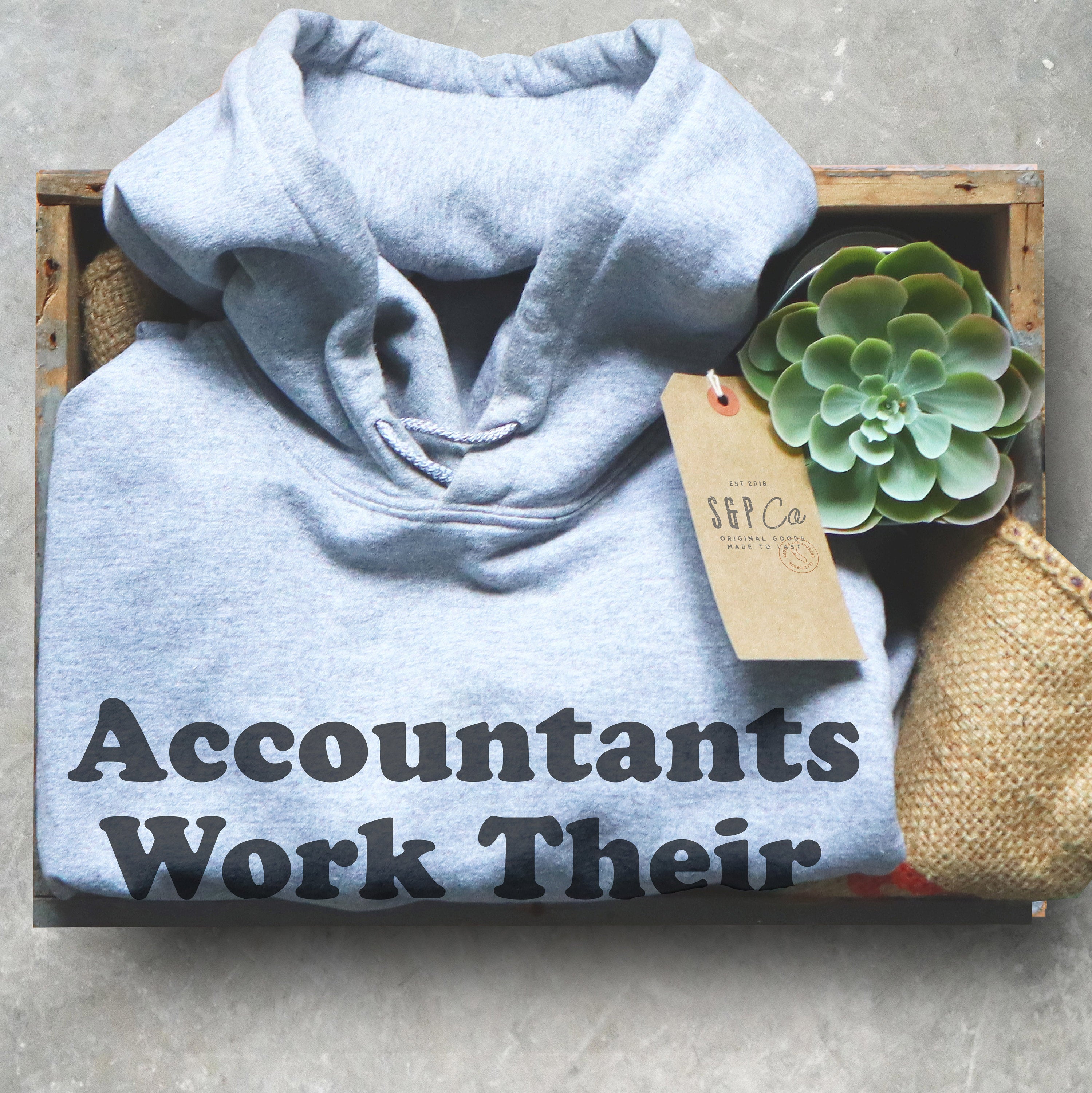 Accountants Work Their Assets Off Hoodie