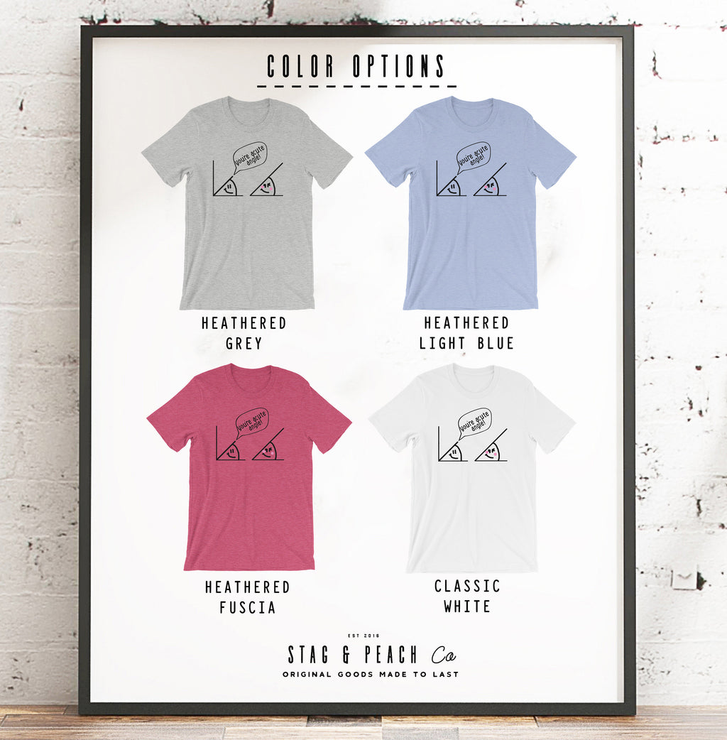 You're Acute Angle Unisex Shirt - Math Funny T-Shirt, Funny Math Shirt, Math Geek Shirts, Math Teacher Tee, Mathematics, Math Shirt, Pi Day - Stag & Peach Co