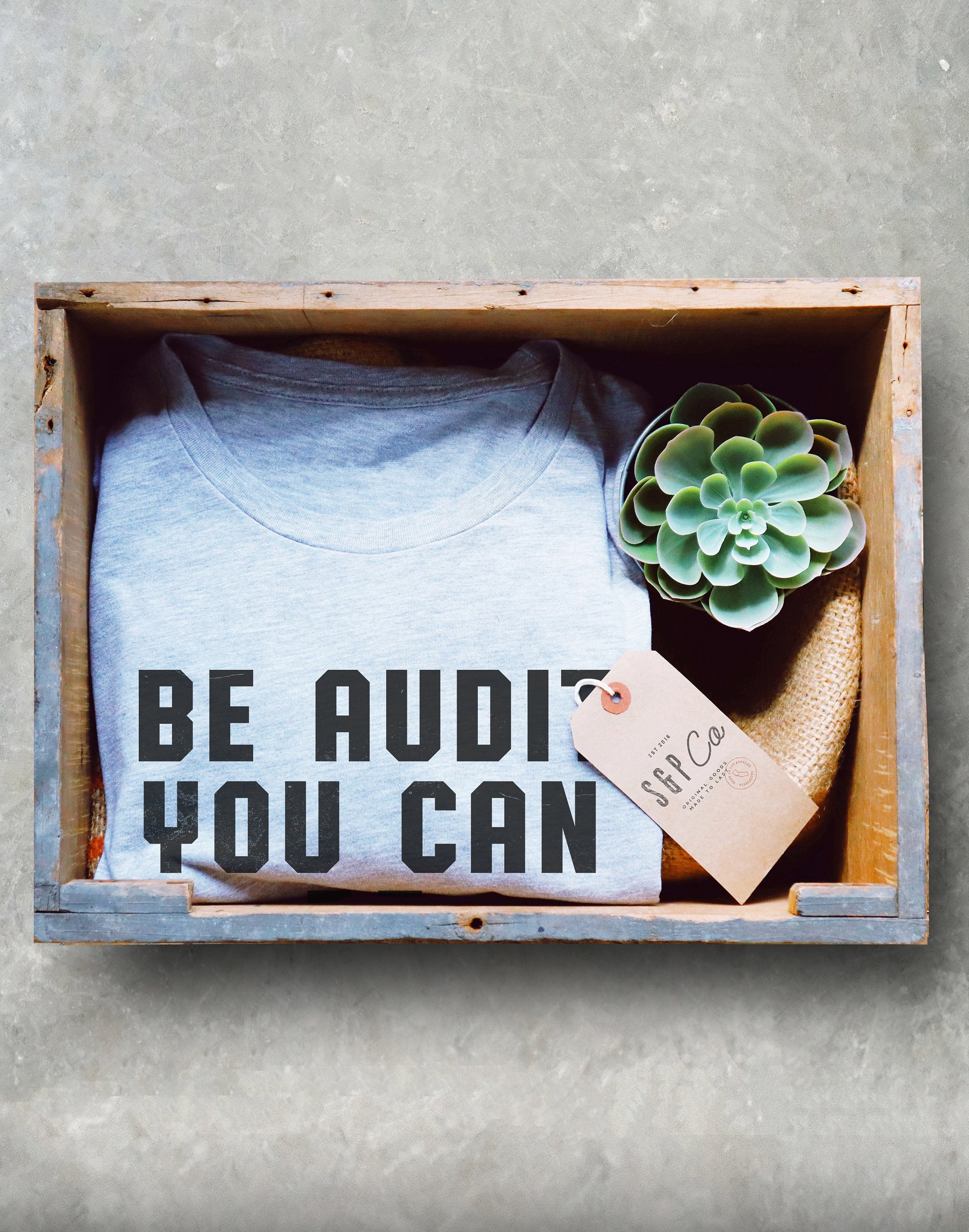Be Audit You Can Be Unisex Shirt - Stag & Peach Co