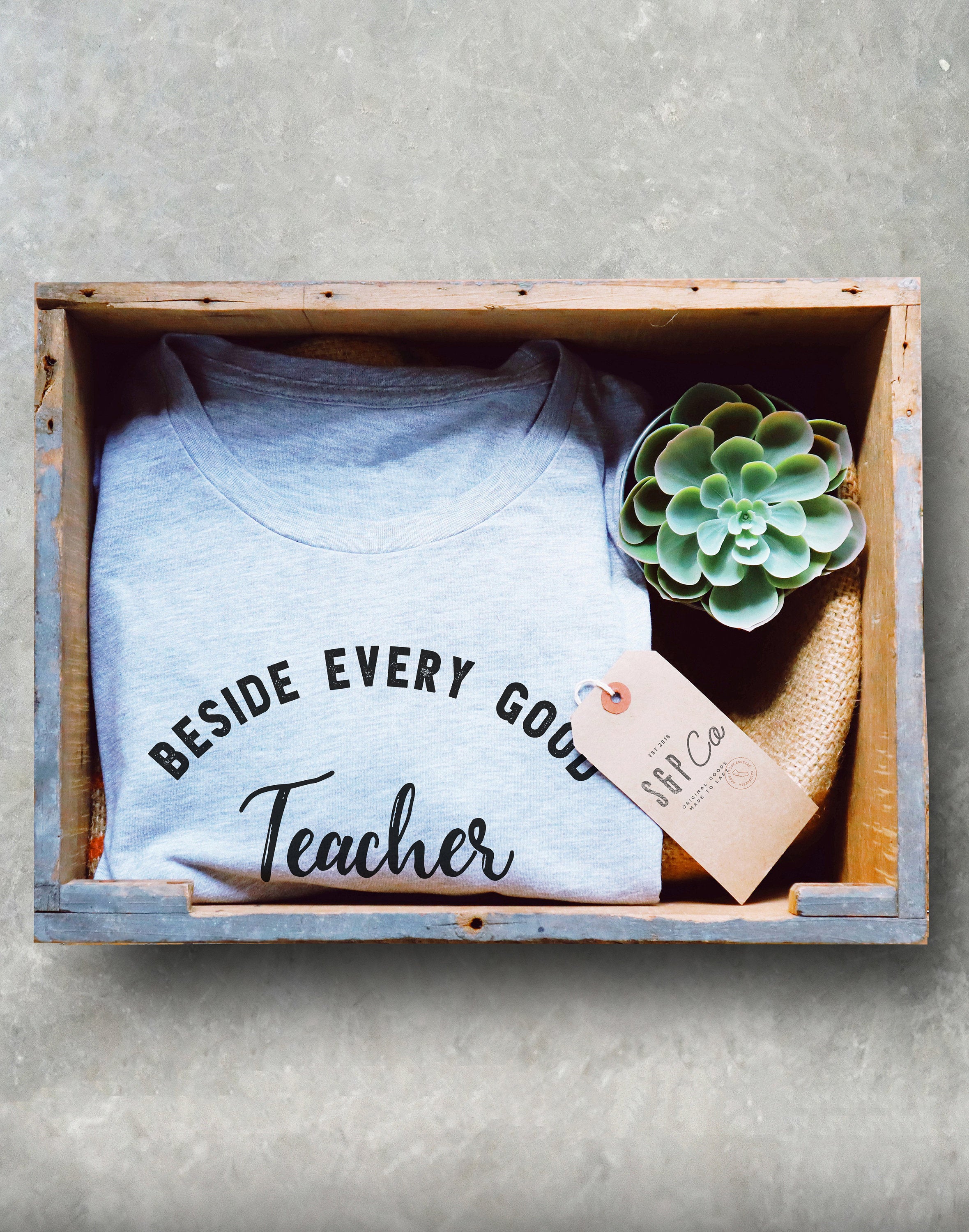 Beside Every Good Teacher Is An Amazing Paraprofessional Unisex Shirt - Stag & Peach Co