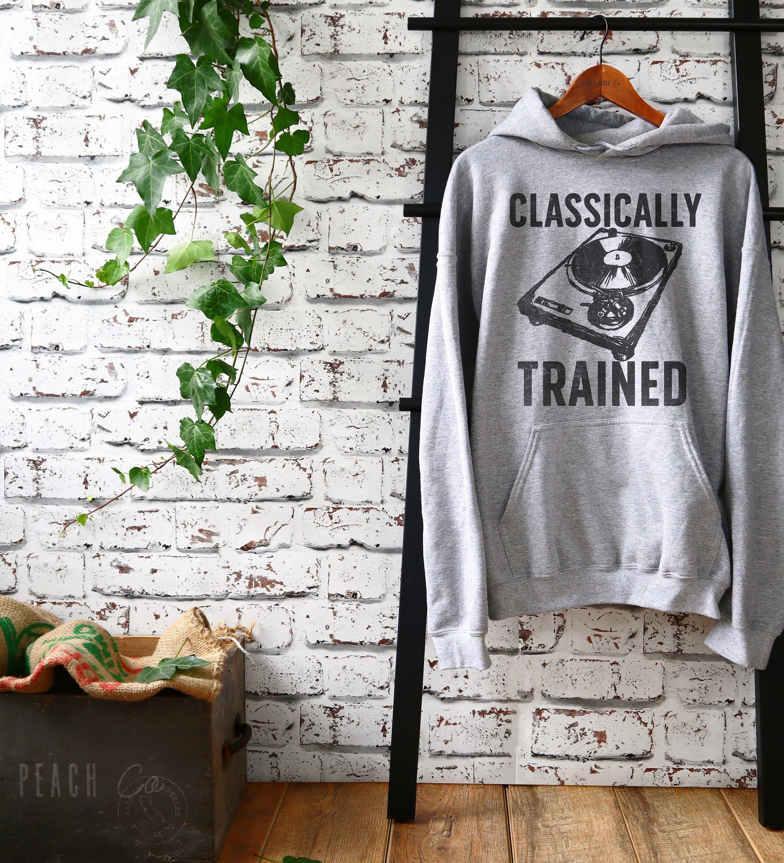Classically Trained Hoodie - DJ Shirt, DJ Techno TShirts, Disk Jockey Gift, Rave Clothing, Music TShirt, Techno Shirt - Stag & Peach Co