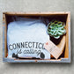 Connecticut Is Calling And I Must Go Unisex Shirt - Connecticut Shirt, Connecticut Gift, State Shirt, Connecticut Pride, New England Shirt