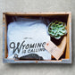 Wyoming Is Calling Unisex Shirt - Wyoming Shirt, Buffalo Shirt, State Pride Shirt, USA Shirt, Wyoming Gifts, Yellowstone National Park Shirt