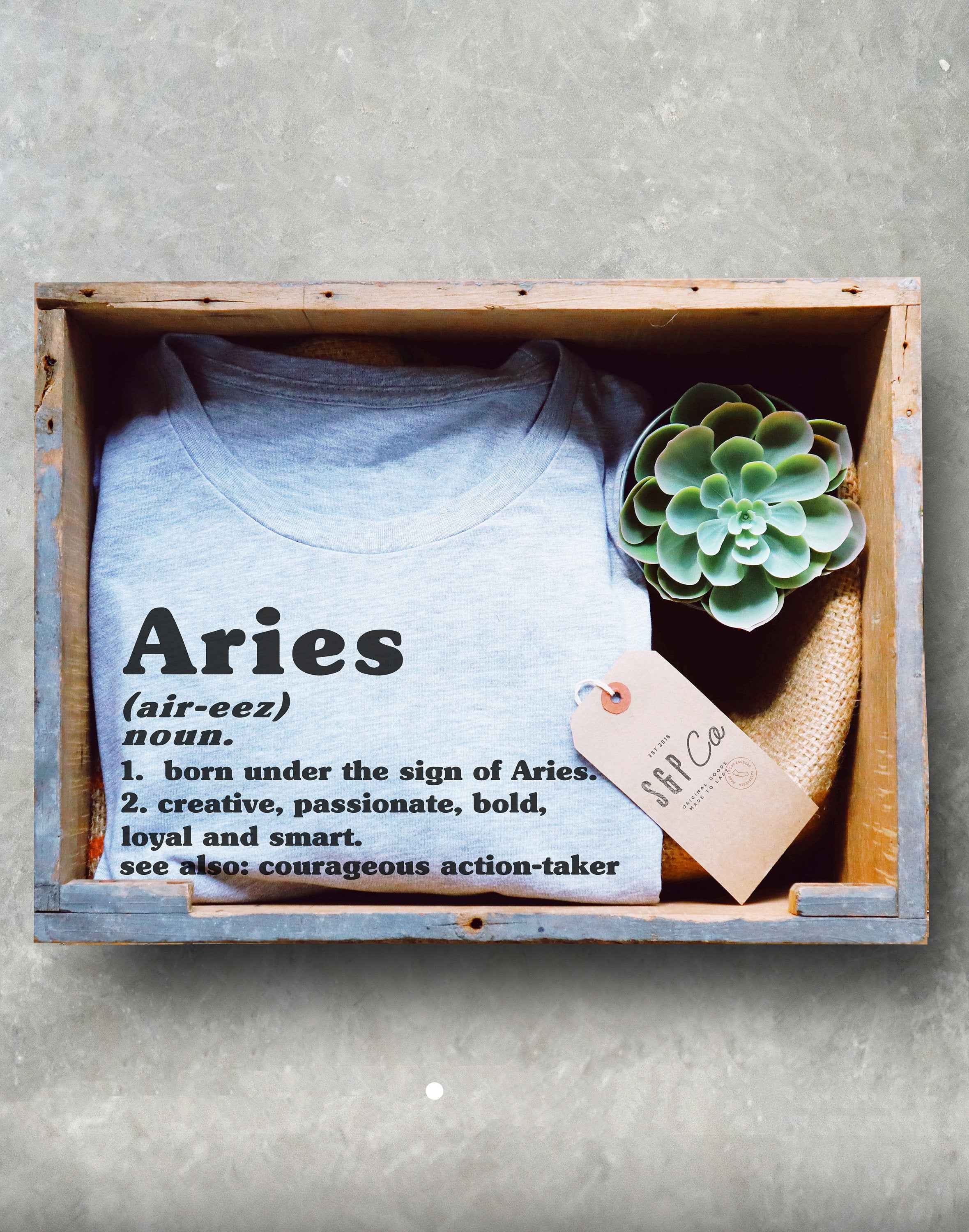 Aries Unisex Shirt