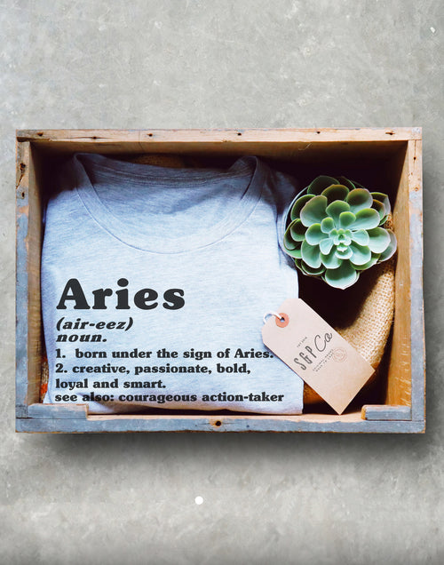 Aries Unisex Shirt