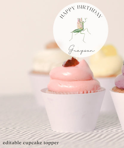 Bug Cupcake Toppers - Insect Cupcake Toppers, Bug Birthday Decorations, Nature Birthday Theme, Bug Cake Topper, Editable Instant Download