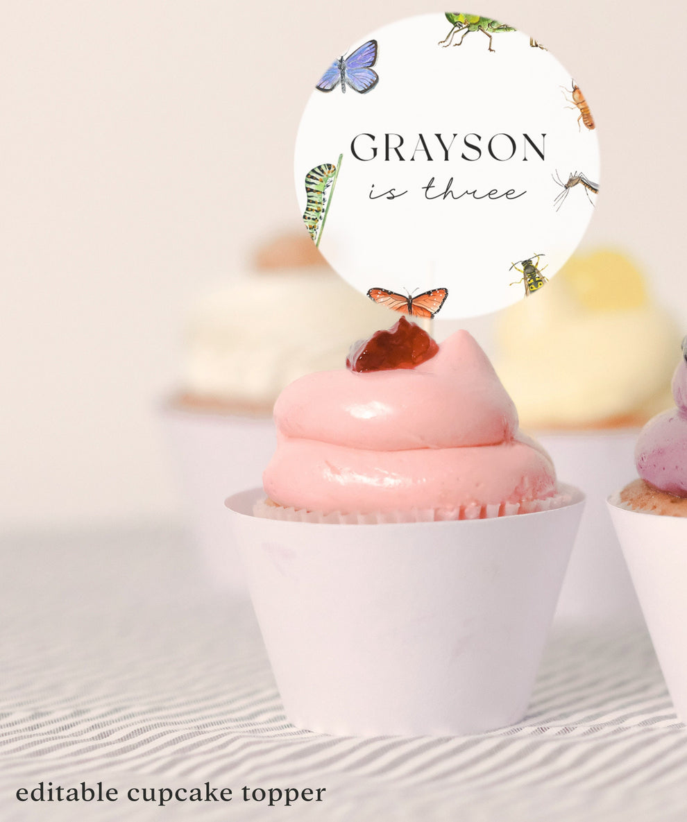 Bug Cupcake Toppers - Insect Cupcake Toppers, Bug Birthday Decorations ...