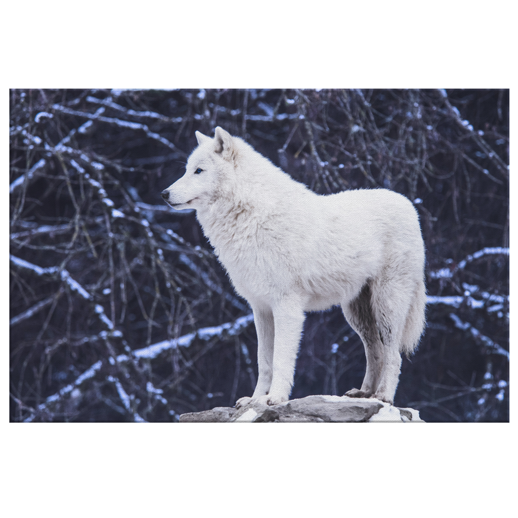 White Wolf Canvas – Moonlight Wolf Wall Art, Forest Decor