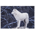 White Wolf Canvas – Moonlight Wolf Wall Art, Forest Decor