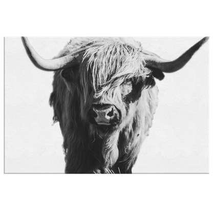 Highland Cow Canvas Wall Art - Black and White, Highland Cow Print, Cow Art, Cow Decor, Cow Gift, Highland Cattle Art, Highland Bull Print