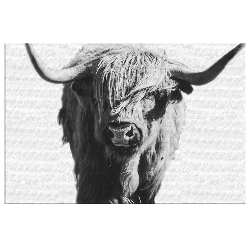 Black And White Highland Cow Canvas – Rustic Bull Wall Art