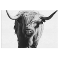 Black And White Highland Cow Canvas – Rustic Bull Wall Art