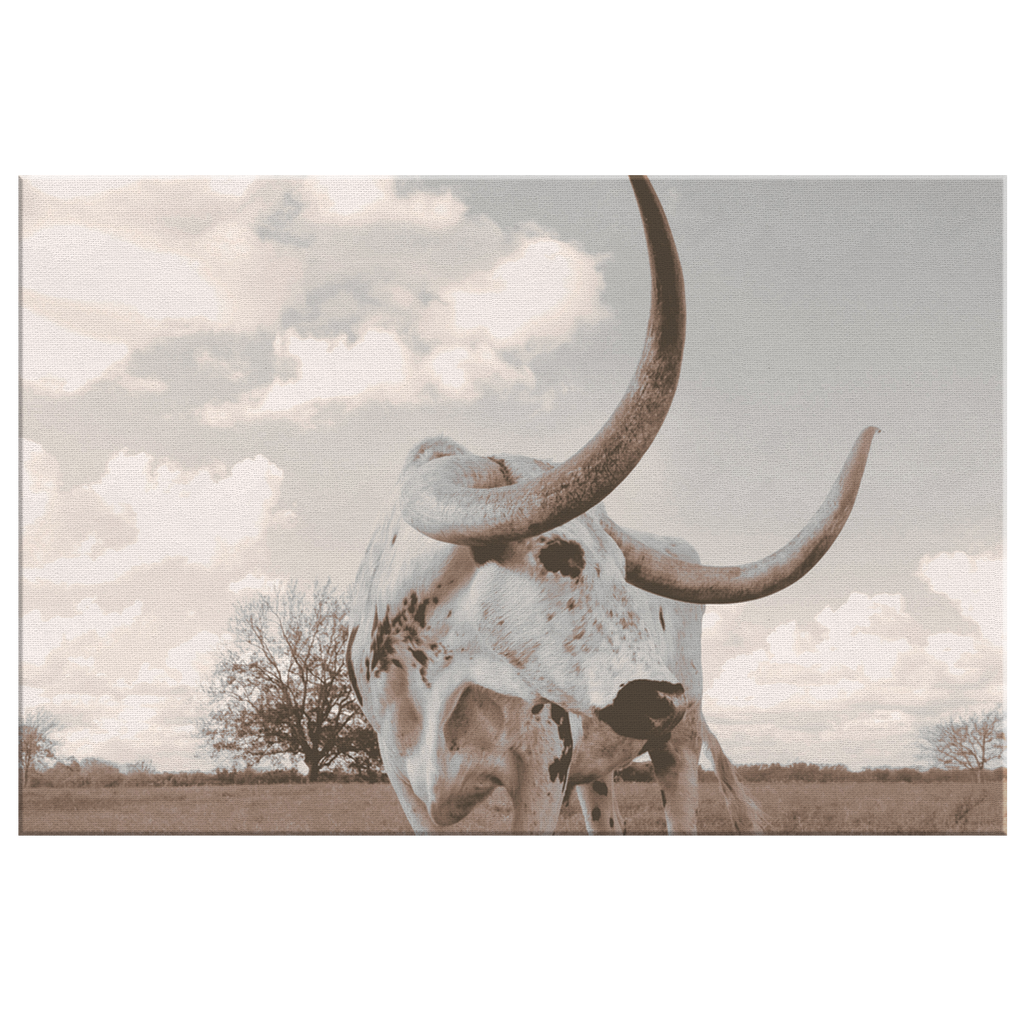 Longhorn Canvas Wall Art – Texas Steer Print, Southwestern Decor