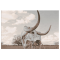 Longhorn Canvas Wall Art – Texas Steer Print, Southwestern Decor