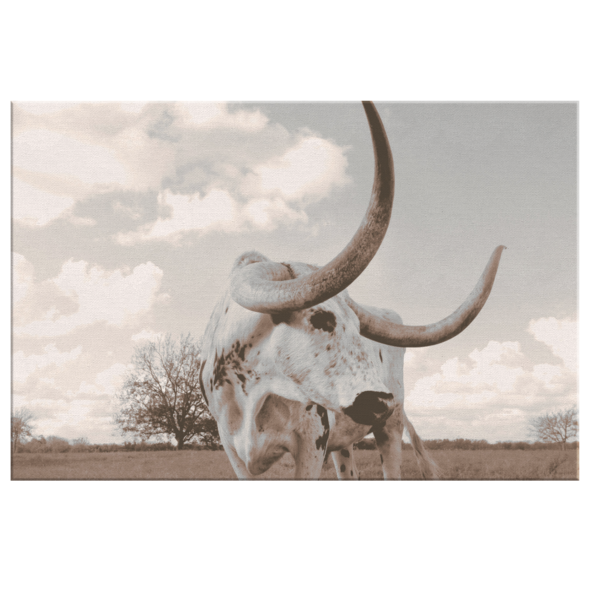 Longhorn Canvas Wall Art – Texas Steer Print, Southwestern Decor