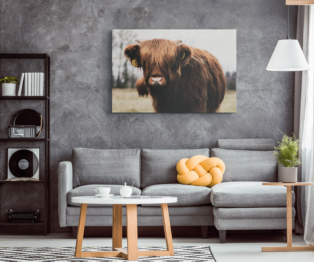Highland Cow Canvas – Rustic Cow Wall Art, Farmhouse Decor