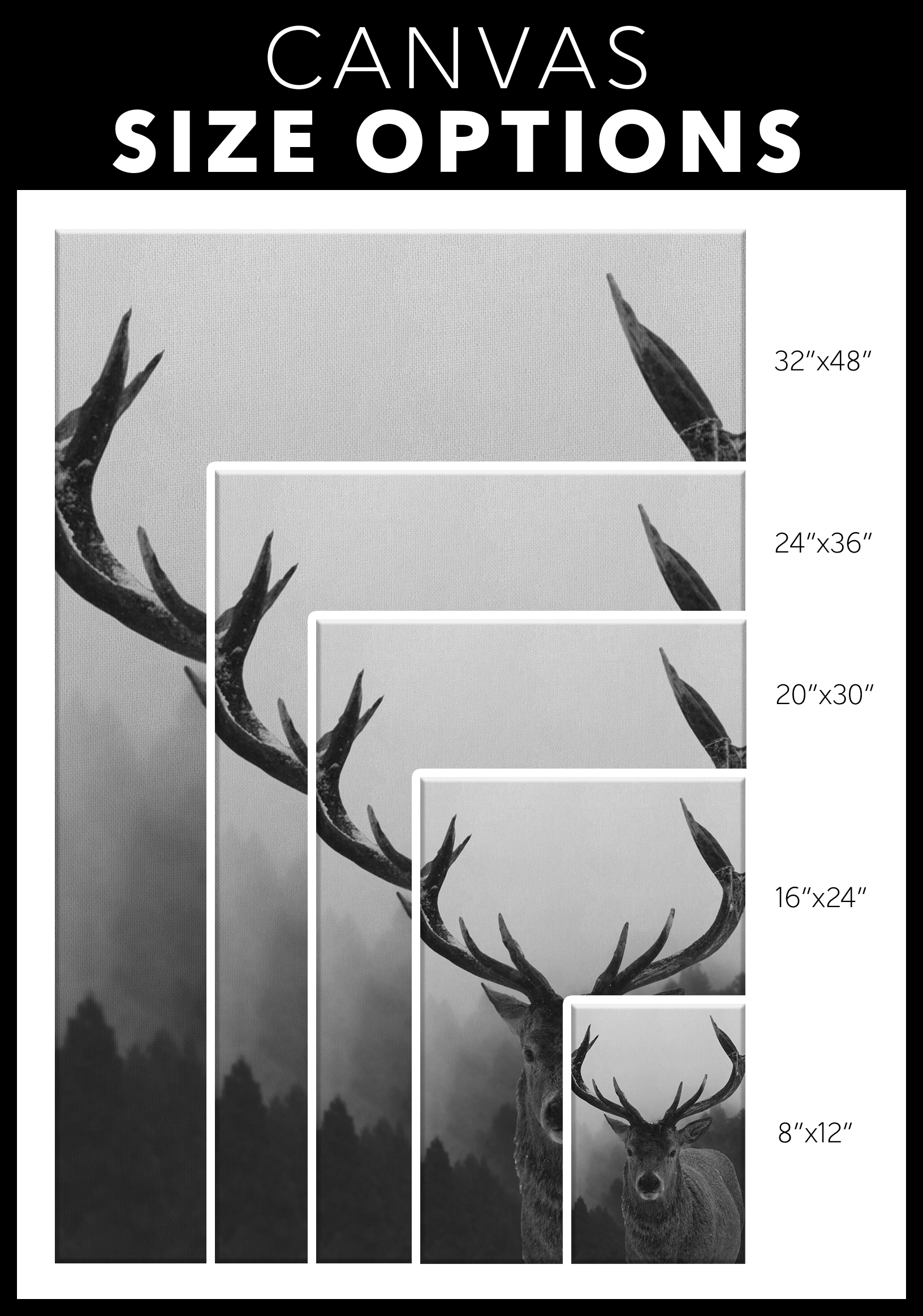 Black And White Stag Canvas – Rustic Wall Art, Deer Wall Decor